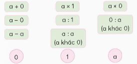 Bài 6