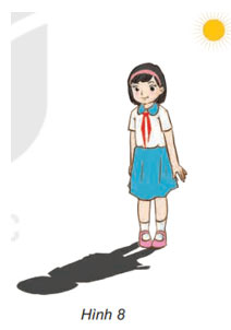Hình 8