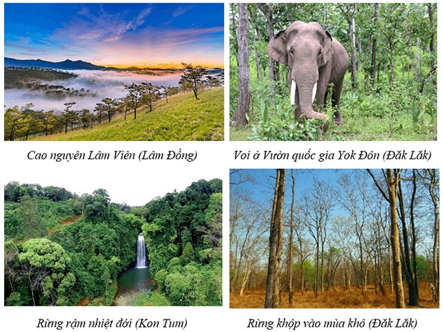 Một số cảnh đẹp thiên nhiên ở vùng Tây Nguyên