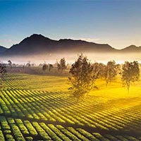 Lịch sử Địa lí lớp 4 Bài 20: Thiên nhiên vùng Tây Nguyên