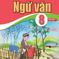 Đáp án trắc nghiệm tập huấn môn Ngữ văn 8 sách Cánh diều