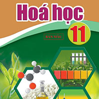Đáp án trắc nghiệm tập huấn môn Hóa học 11 sách Cánh diều