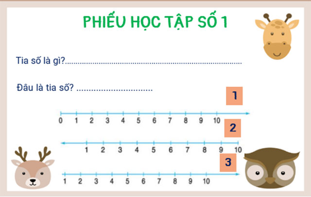 Phiếu học tập 1