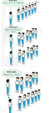 Giáo dục thể chất 2