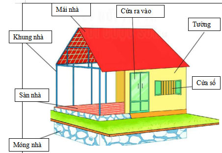 Công nghệ 6