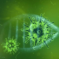 Nhận xét về cách đặt nhan đề cho văn bản và cách sử dụng “loại vi trùng quý hiếm” trong văn bản