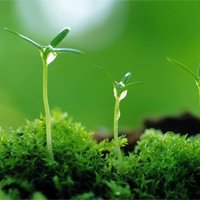 Dẫn chứng về thái độ sống tích cực