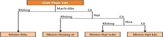Khoa học tự nhiên 6