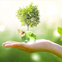 Soạn bài Thực hành đọc: Dấu chân sinh thái của mỗi người và thông điệp từ Trái Đất Kết nối tri thức