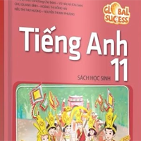 Kế hoạch giáo dục môn Tiếng Anh 11 sách Kết nối tri thức với cuộc sống