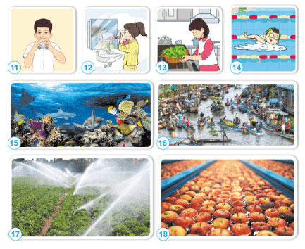 Câu hỏi quan sát trang 8