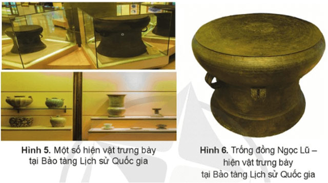 Hình 5, 6