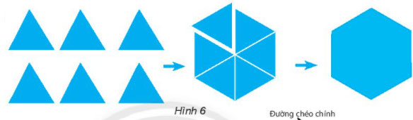 Hình 6