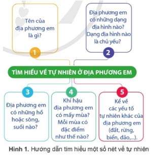 Hình 1