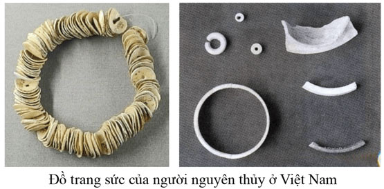 Xã hội nguyên thủy