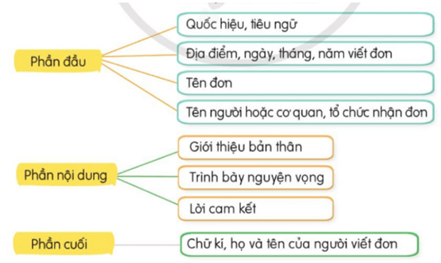 Cấu tạo của đơn