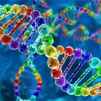 Bộ đề thi giữa học kì 1 môn Sinh học 11 năm 2024 - 2025 sách Chân trời sáng tạo