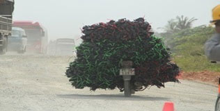 Vì an toàn giao thông thủ đô