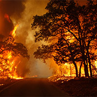 Tiếng Anh 8 Unit 4: Từ vựng