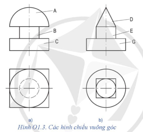 Ôn tập chủ đề 1