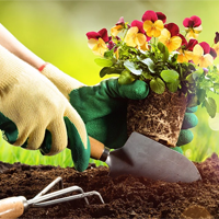 Đoạn văn tiếng Anh viết về sở thích làm vườn (4 Mẫu)