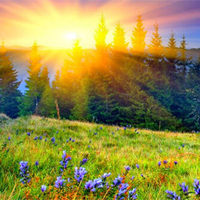 Kết bài Nắng đã hanh rồi