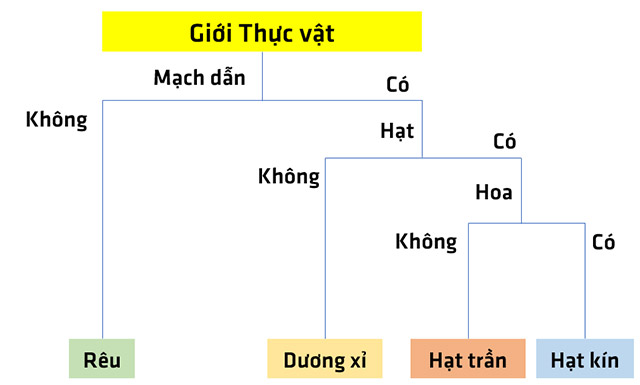 Luyện tập 2