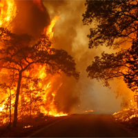 Bài tập tiếng Anh 8 I-Learn Smart World Unit 4