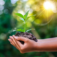 Viết đoạn văn tiếng Anh về lối sống xanh (6 Mẫu)