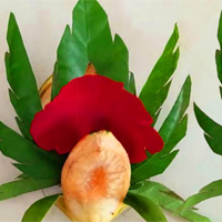 Phân tích bài thơ Mời trầu của Hồ Xuân Hương (Dàn ý + 3 Mẫu)