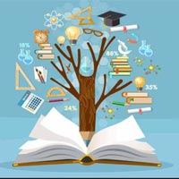 Tiếng Anh 7 Unit 6: Review