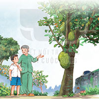 Đọc: Vườn của ông tôi - Tiếng Việt 4 Kết nối tri thức