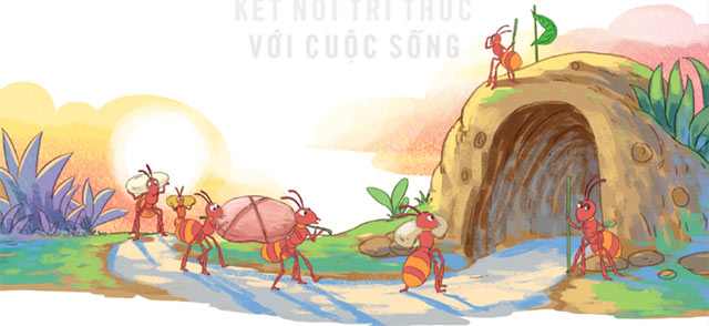 Ôn tập giữa học kì 2 Tiết 3, 4