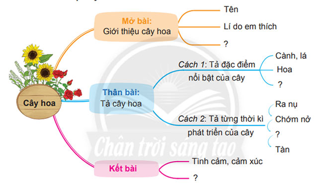 Luyện tập lập dàn ý cho bài văn miêu tả cây cối 