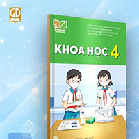 Bộ đề thi học kì 1 môn Khoa học 4 năm 2024 - 2025 sách Kết nối tri thức với cuộc sống