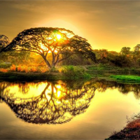 Văn mẫu lớp 11: Viết đoạn văn nói về vẻ đẹp của bài thơ theo cảm nhận của bạn (4 Mẫu)