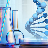 Bộ đề thi học kì 1 môn Hóa học 11 năm 2024 - 2025 sách Kết nối tri thức với cuộc sống