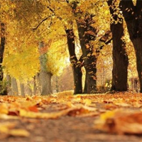 Văn mẫu lớp 11: Trình bày ý kiến về một vấn đề xã hội đang được nhiều người quan tâm (2 Mẫu)