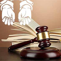 Văn mẫu lớp 11: Viết đoạn văn khoảng 300 chữ về sự cần thiết và tầm quan trọng của sự minh oan