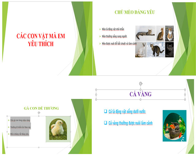 Định dạng, tạo hiệu ứng cho trang chiếu