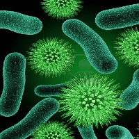 Văn mẫu lớp 8: Tóm tắt văn bản Loại vi trùng quý hiếm (2 mẫu) 