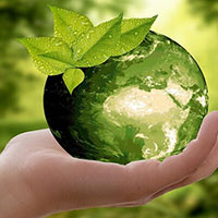 Nói và nghe: Nói về một việc làm góp phần bảo vệ môi trường - Tiếng Việt 4 Chân trời sáng tạo