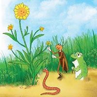 Đọc: Hoa cúc áo - Tiếng Việt 4 Chân trời sáng tạo