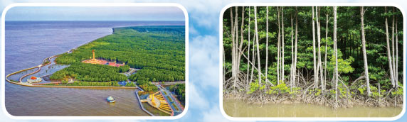 Về lại Gò Công