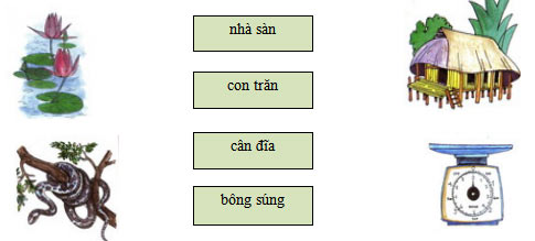 Câu 1