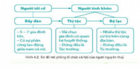Tổ chức xã hội nguyên thủy