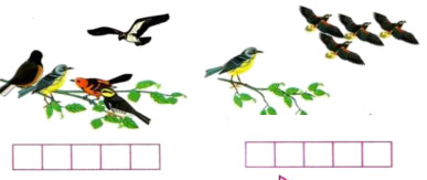 Toán lớp 1 Kết nối tri thức