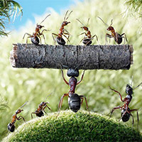 Văn mẫu lớp 9: Đoạn văn nghị luận về đức tính chăm chỉ (4 mẫu)