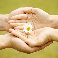 Văn mẫu lớp 9: Dàn ý nghị luận về lòng vị tha (4 mẫu)