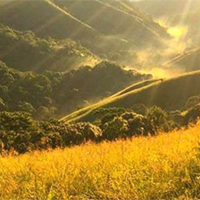 Văn mẫu lớp 11: Tình yêu quê hương trong truyện ngắn Nắng đẹp miền quê ngoại 